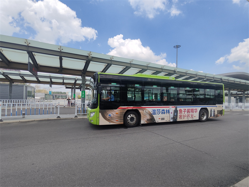 溫莎森林魚(yú)子醬公交車(chē)廣告